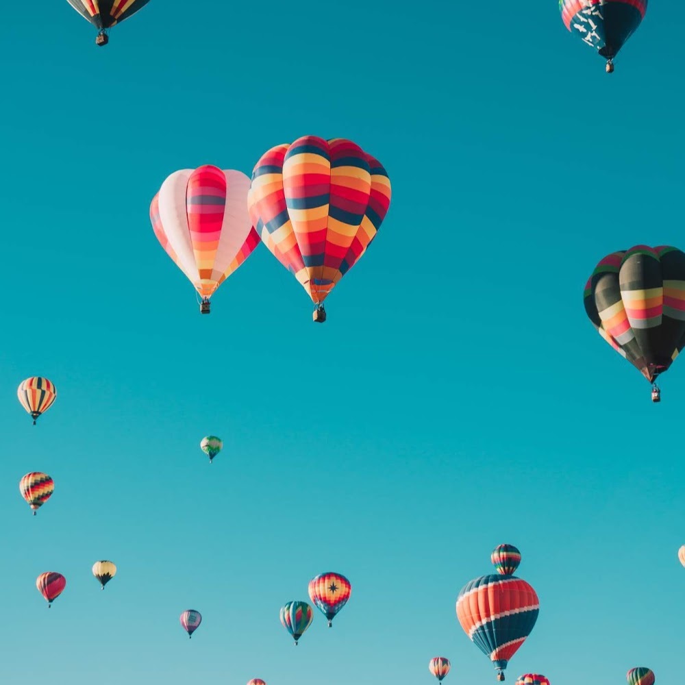 Meet your Posher, Allie